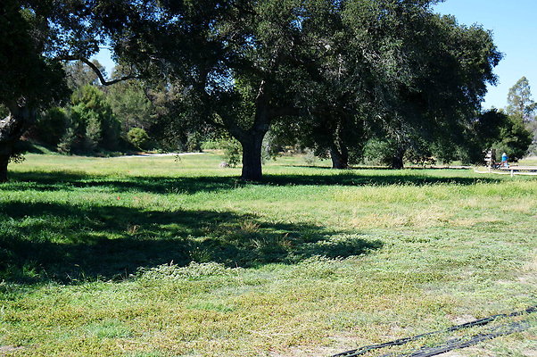 GOR.West Meadow.36