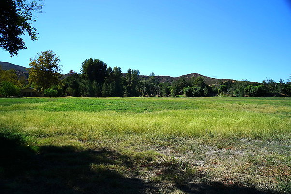 GOR.West Meadow.23