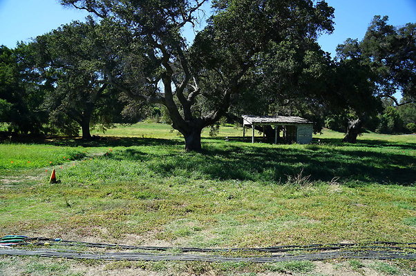 GOR.West Meadow.32