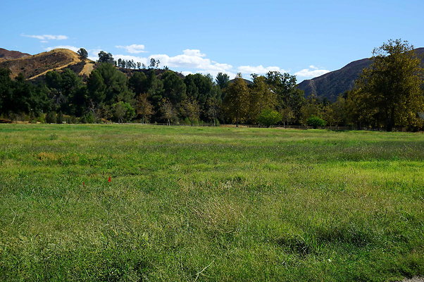GOR.West Meadow.52