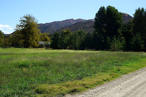 GOR.West Meadow.56