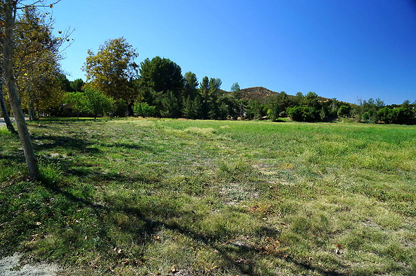 GOR.West Meadow.13