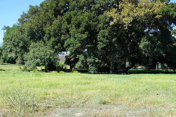 GOR.West Meadow.29