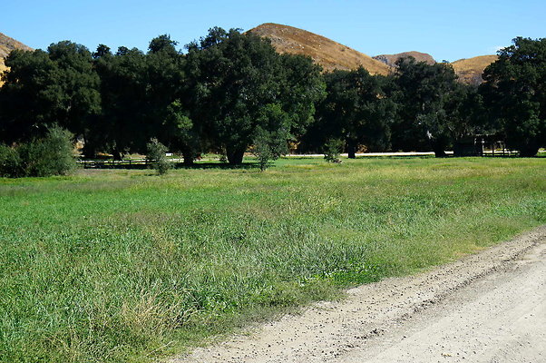 GOR.West Meadow.43