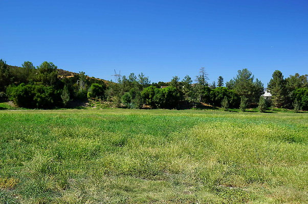 GOR.West Meadow.17