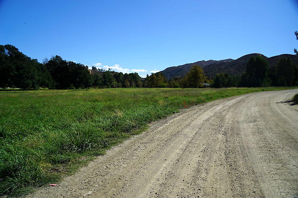 GOR.West Meadow.47