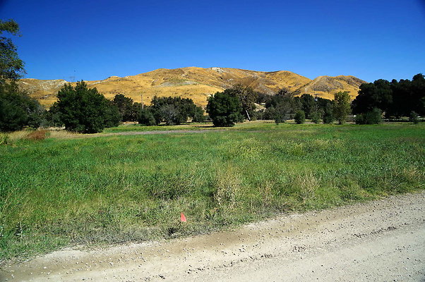 GOR.West Meadow.40