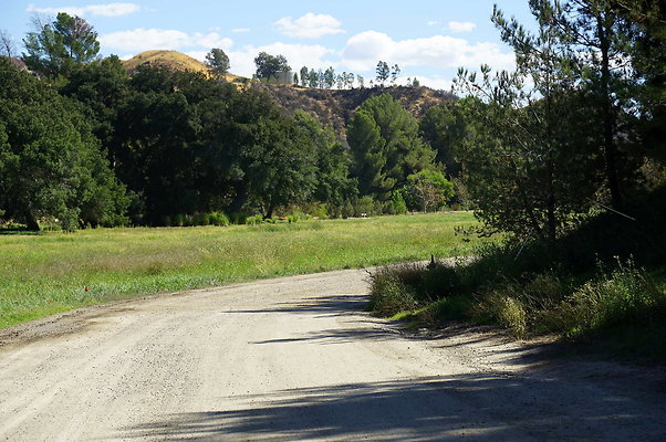 GOR.West Meadow.45