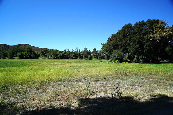 GOR.West Meadow.24