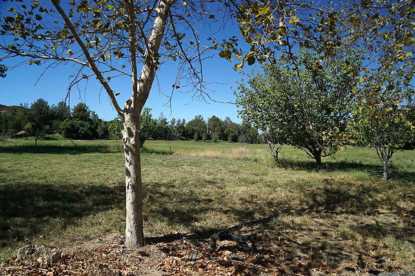 GOR.West Meadow.68