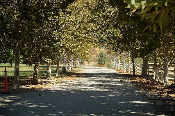 GOR.West Meadow.63