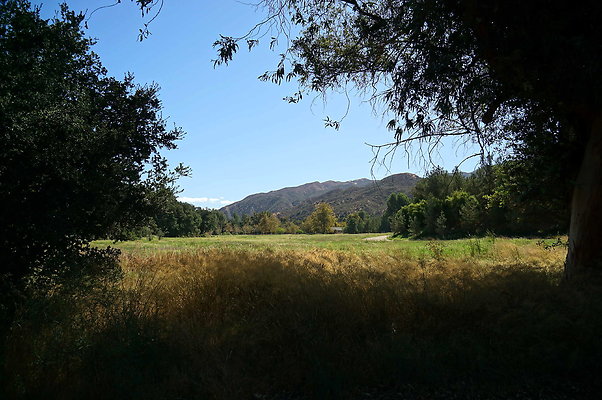 GOR.West Meadow.37