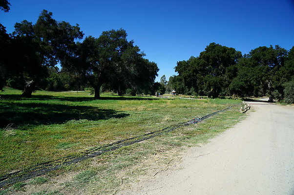 GOR.West Meadow.33
