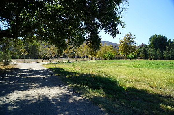 GOR.West Meadow.22