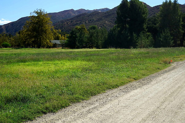 GOR.West Meadow.53