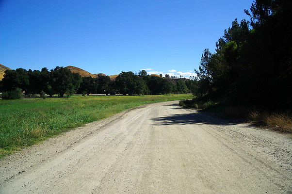 GOR.West Meadow.42
