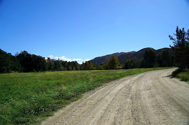 GOR.West Meadow.48