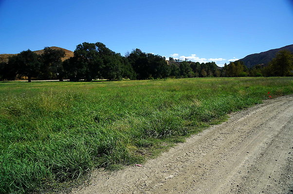 GOR.West Meadow.46