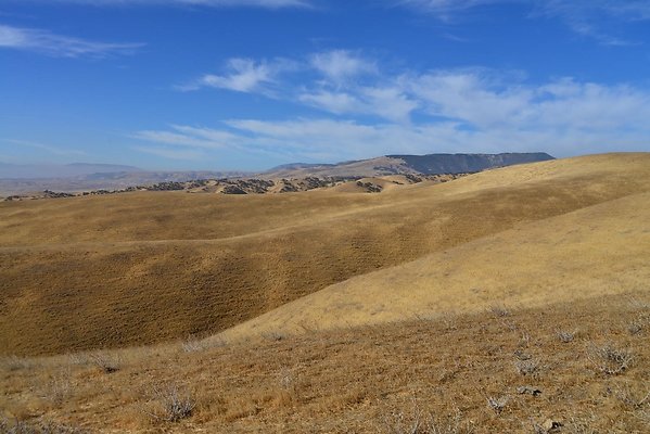 Tejon South Side.East of African Tree