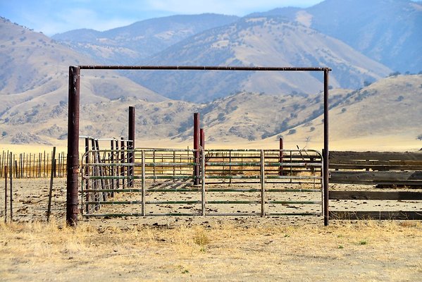 Tejon Grapevine Campo Bonito Corral