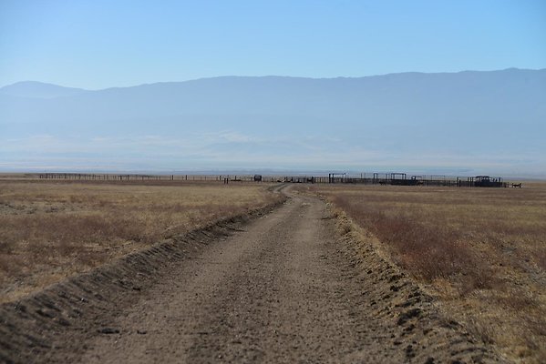 DSC 9745