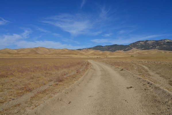 DSC 9748