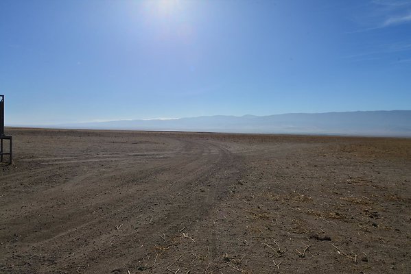 DSC 9800