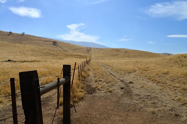 DSC 0005