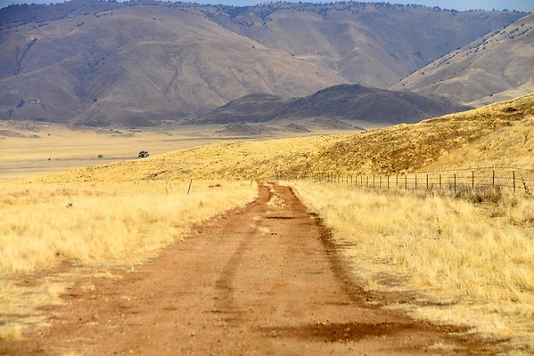 Tejon Grapevine Campo Bonito South Road
