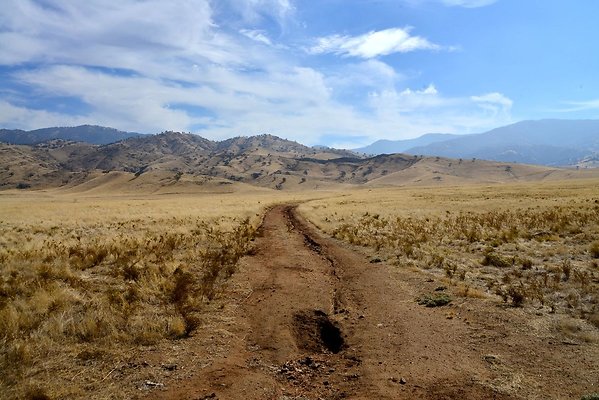 Tejon Grapevine Campo Bonito Two Track North