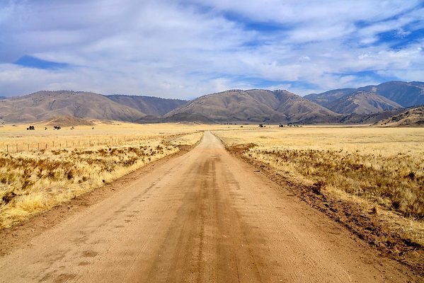 Tejon Grapevine Campo Bonito Road