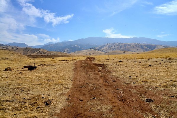 Tejon Grapevine Campo Bonito Two Track South