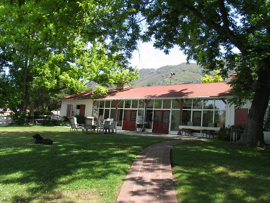 DSC 450