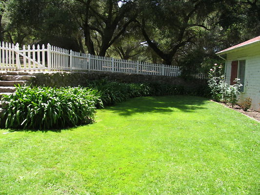 DSC 454