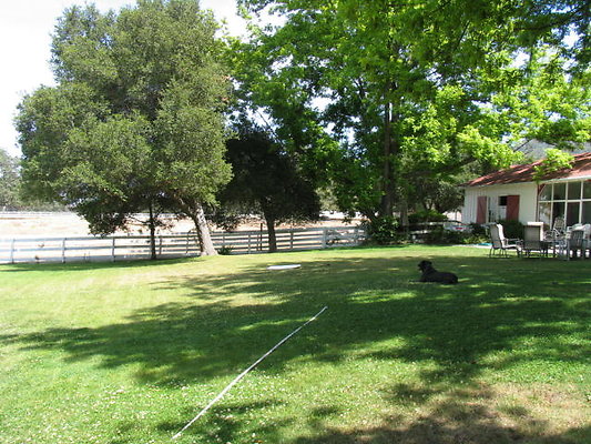 DSC 449