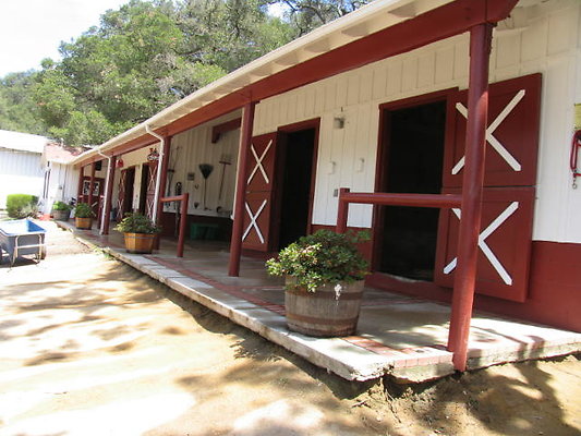 DSC 468