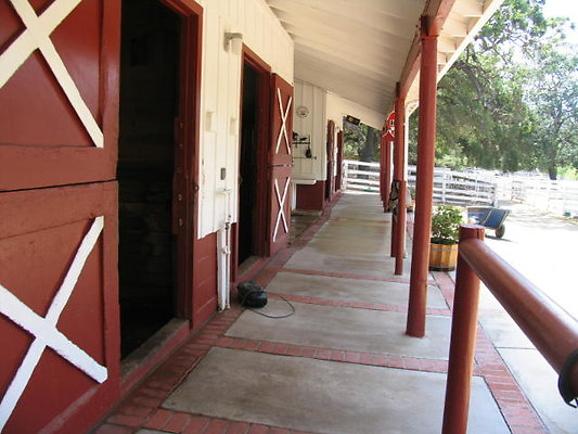 DSC 469