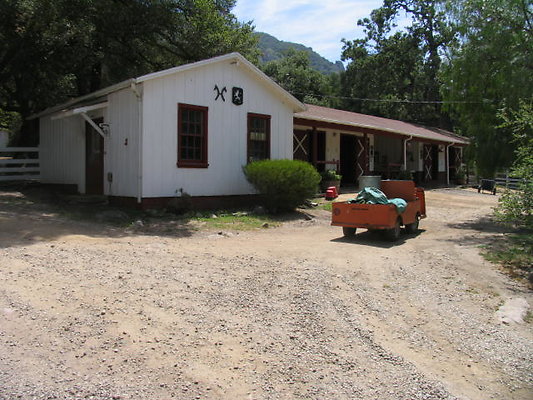 DSC 463