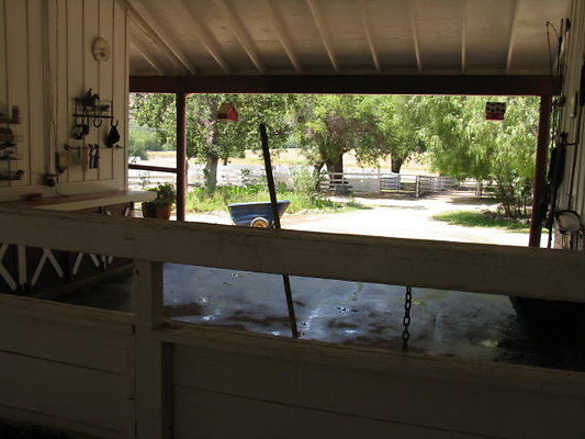 DSC 473