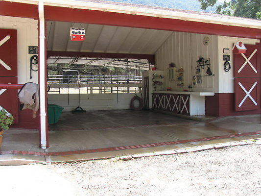 DSC 466