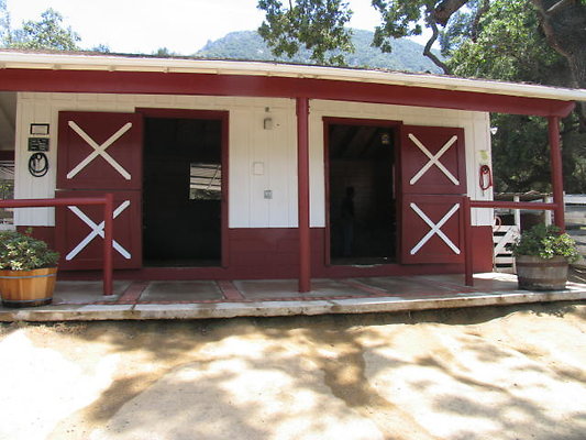 DSC 467