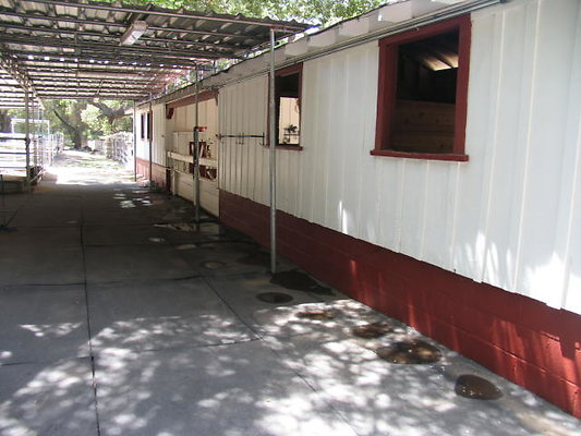 DSC 471
