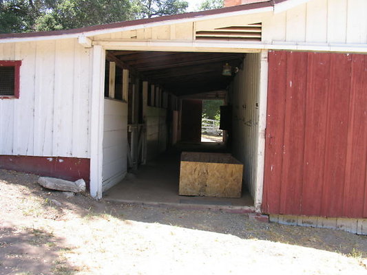 DSC 438