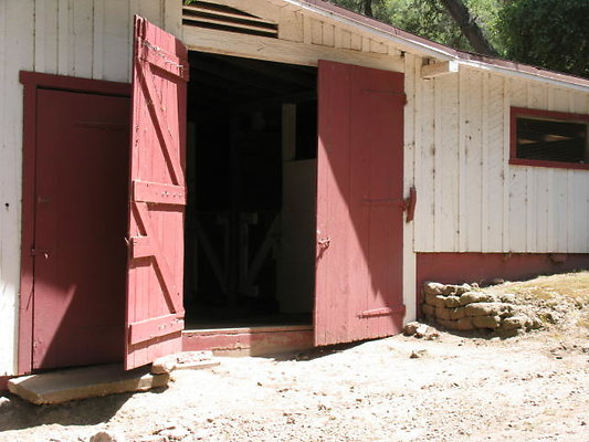 DSC 441