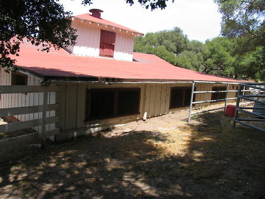 DSC 442