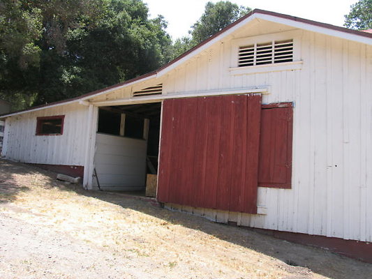 DSC 437