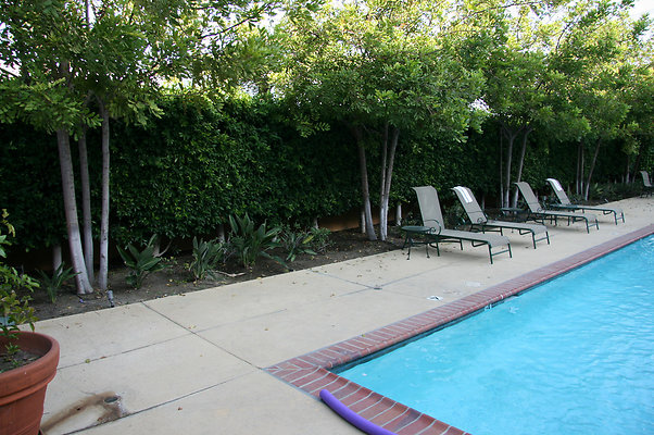 IMG 1534-X2