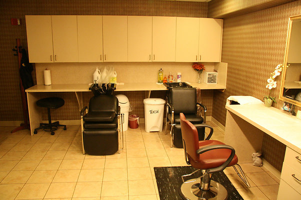 IMG 1526-X2