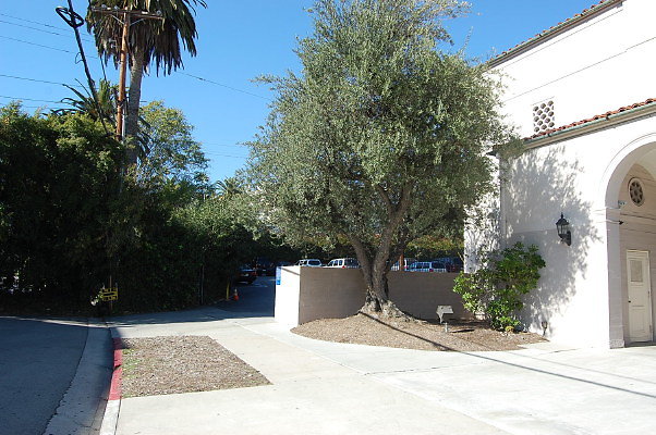 Wilshire Ebell Theater01