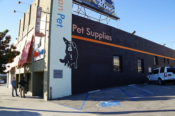 Pet Stores